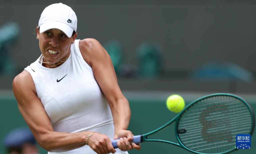 拉维的防线 拉维的防线