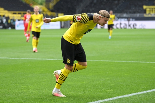 未来将更加 未来将更加